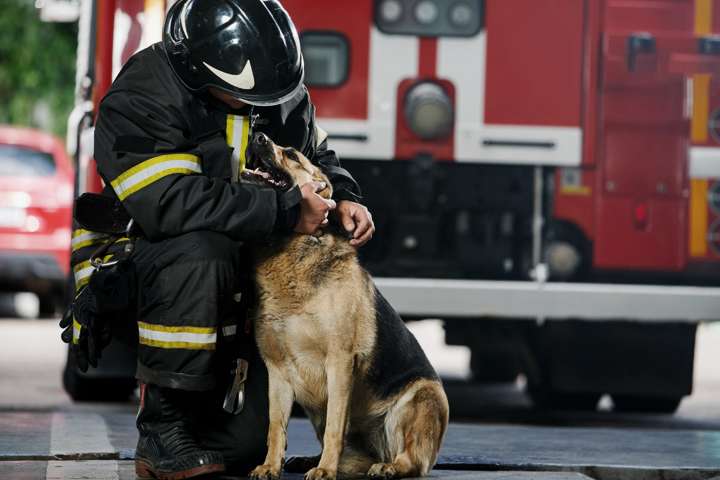 Firefighter on duty petting a German Shepard dog with a firetruck in the background