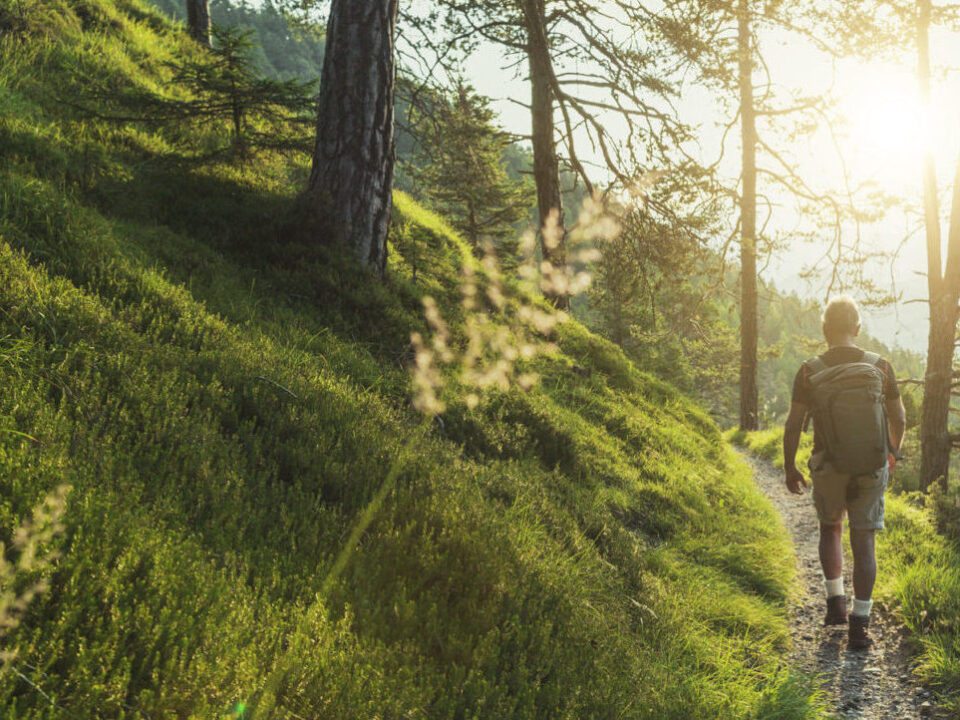 Individual Counselling